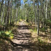 Review photo of Grey Cliffs Campground — Great Basin National Park by Thomas B., August 1, 2020