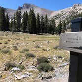 Review photo of Grey Cliffs Campground — Great Basin National Park by Thomas B., August 1, 2020