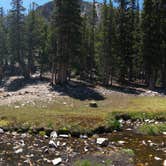 Review photo of Grey Cliffs Campground — Great Basin National Park by Thomas B., August 1, 2020