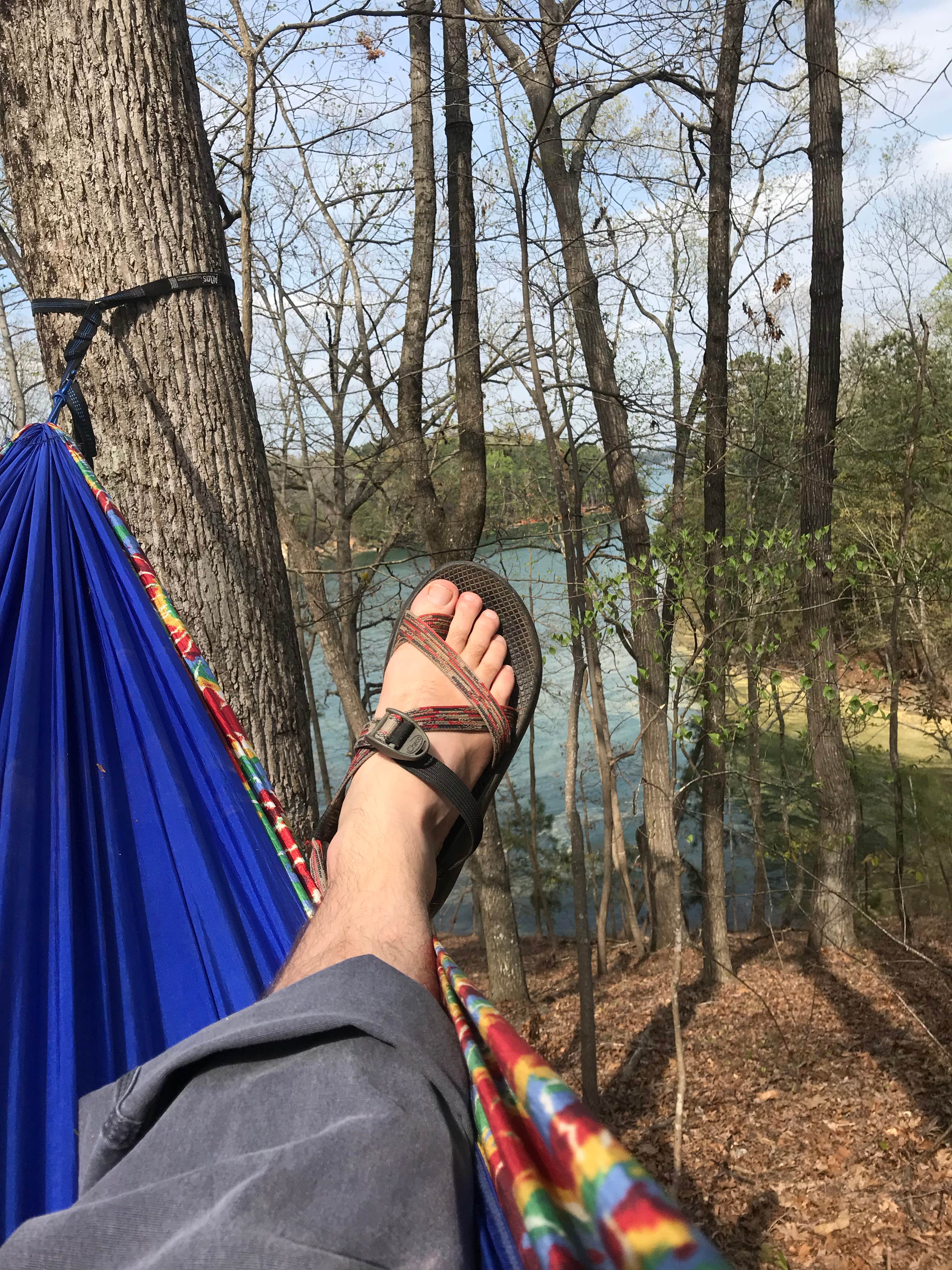 Bryan P.'s photo at Van Pugh South Campground near Gainesville, GA