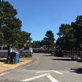 Review photo of Horsfall Campground by Bjorn S., August 1, 2020