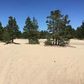 Review photo of Horsfall Campground by Bjorn S., August 1, 2020