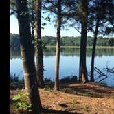 Review photo of Roosevelt State Park Campground by Cat R., August 1, 2020