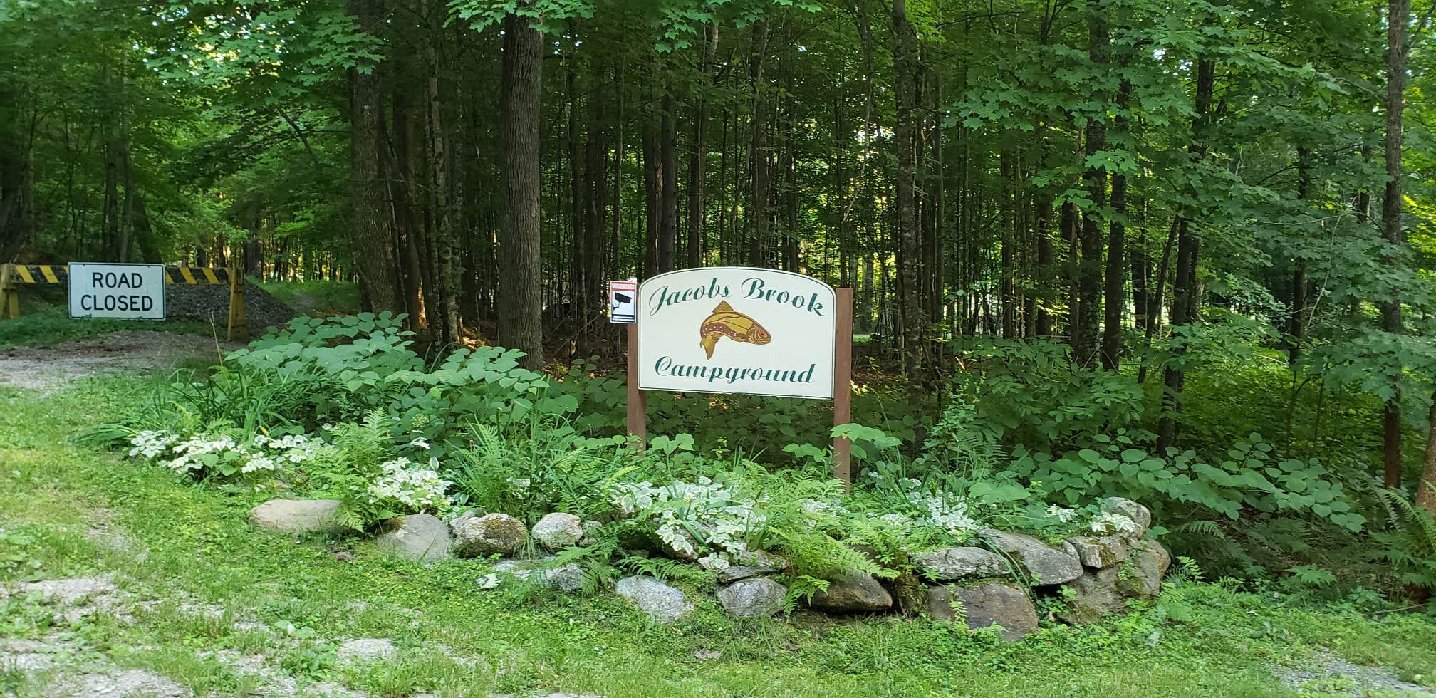 Escape to Nature's Embrace: Your Guide to Jacobs Brook Campground, NH