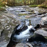 Review photo of Jacobs Brook Campground by Jean C., August 1, 2020