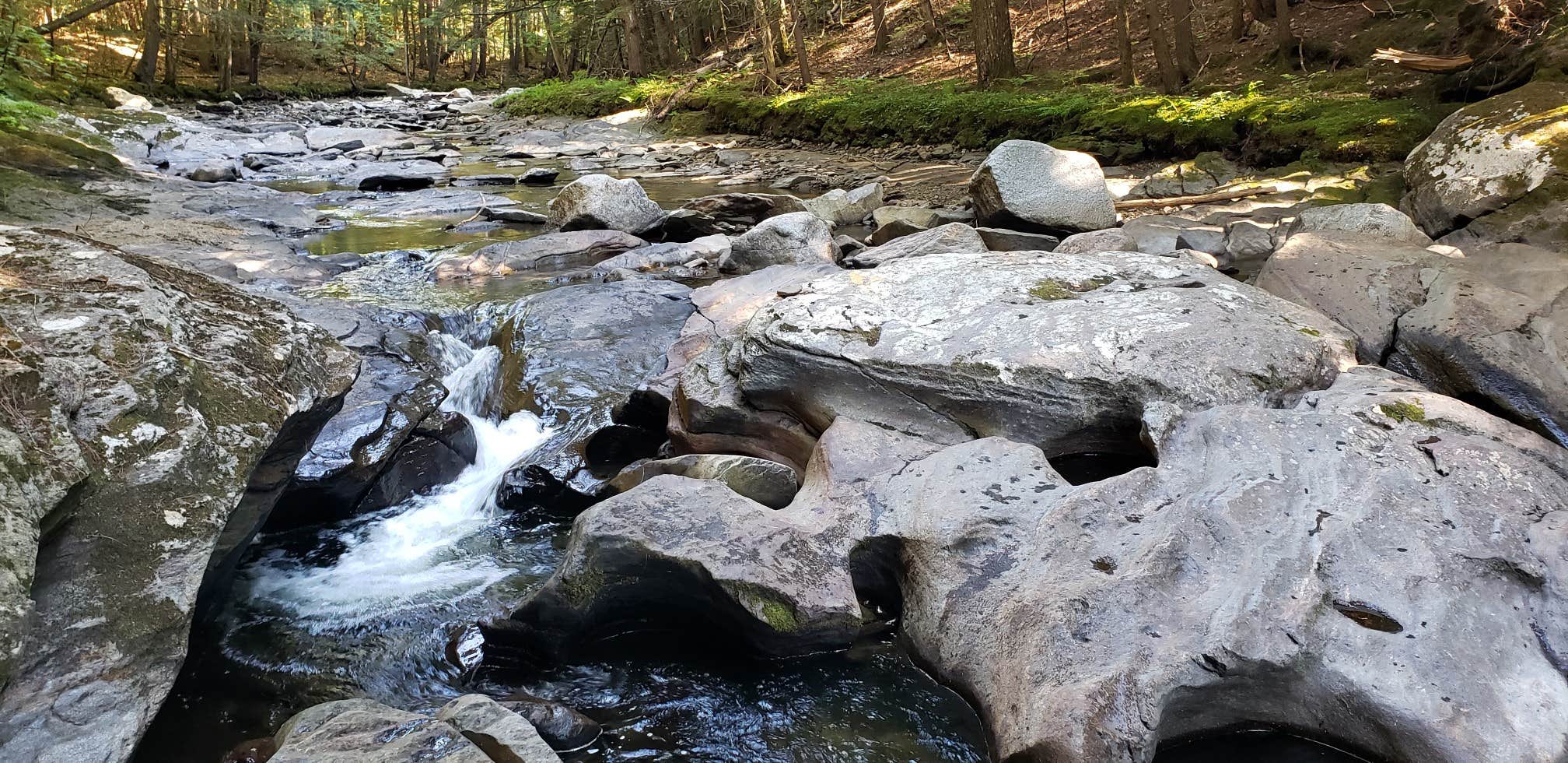 Camper submitted image from Jacobs Brook Campground - 5