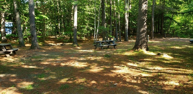 Camper submitted image from Jacobs Brook Campground - 4