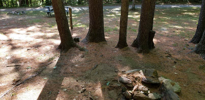 Camper-submitted photo at Jacobs Brook Campground near Thetford, VT