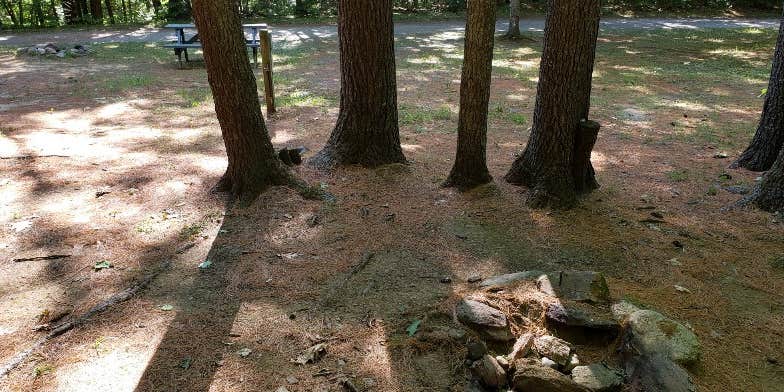 Camper submitted image from Jacobs Brook Campground