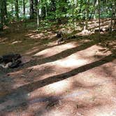 Review photo of Jacobs Brook Campground by Jean C., August 1, 2020