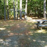 Review photo of Jacobs Brook Campground by Jean C., August 1, 2020