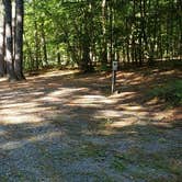 Review photo of Jacobs Brook Campground by Jean C., August 1, 2020