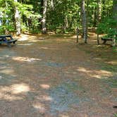 Review photo of Jacobs Brook Campground by Jean C., August 1, 2020