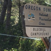 Review photo of Bluebill Campground by Bjorn S., August 1, 2020