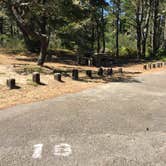 Review photo of Bluebill Campground by Bjorn S., August 1, 2020