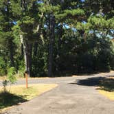 Review photo of Bluebill Campground by Bjorn S., August 1, 2020