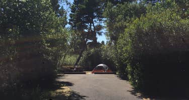 Bluebill Campground