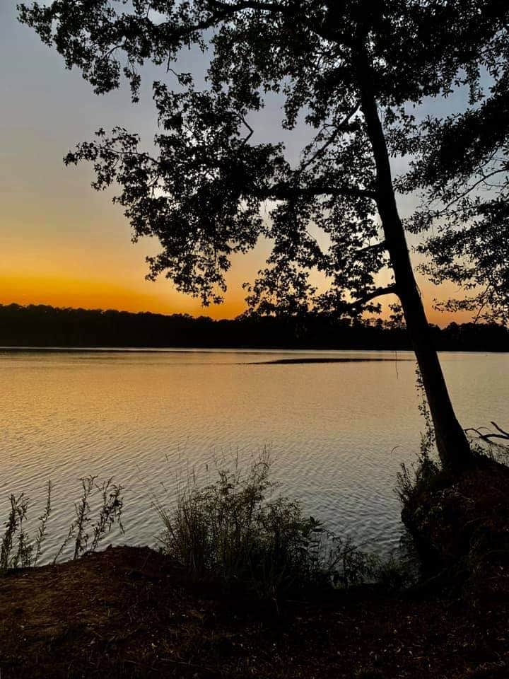 Camper-submitted photo at Percy Quin State Park Campground near Gloster, MS