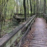 Review photo of Percy Quin State Park Campground by Cat R., August 1, 2020