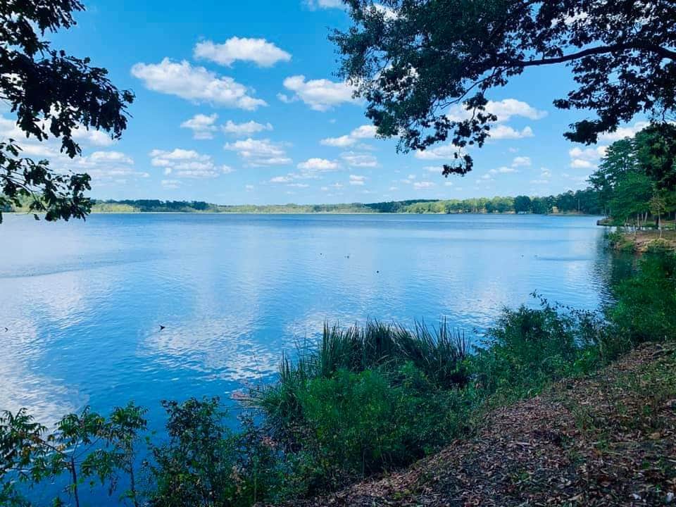 Escape To Serenity:  Mississippi’s Percy Quin State Park