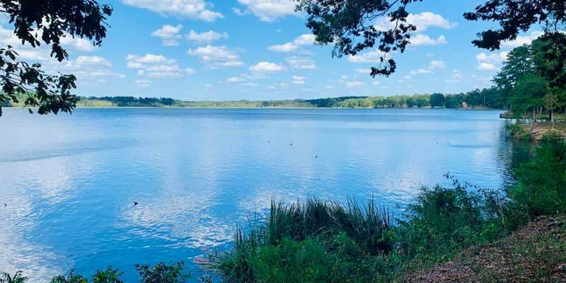 Camper submitted image from Percy Quin State Park Campground