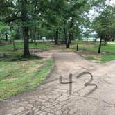 Review photo of Percy Quin State Park Campground by Cat R., August 1, 2020