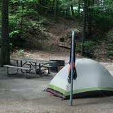 Review photo of Beach Campground — Holland State Park by Shelly B., August 1, 2020