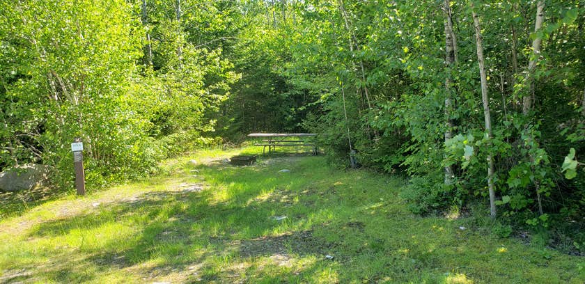Camper submitted image from Osceola Vista Campground - 5