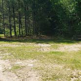 Review photo of Osceola Vista Campground by Jean C., August 1, 2020