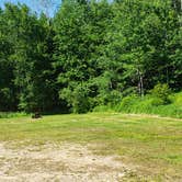 Review photo of Osceola Vista Campground by Jean C., August 1, 2020