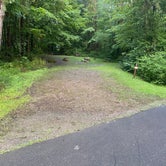 Review photo of Red Bridge Recreation Area - Allegheny National Forest by Sheila P., August 1, 2020