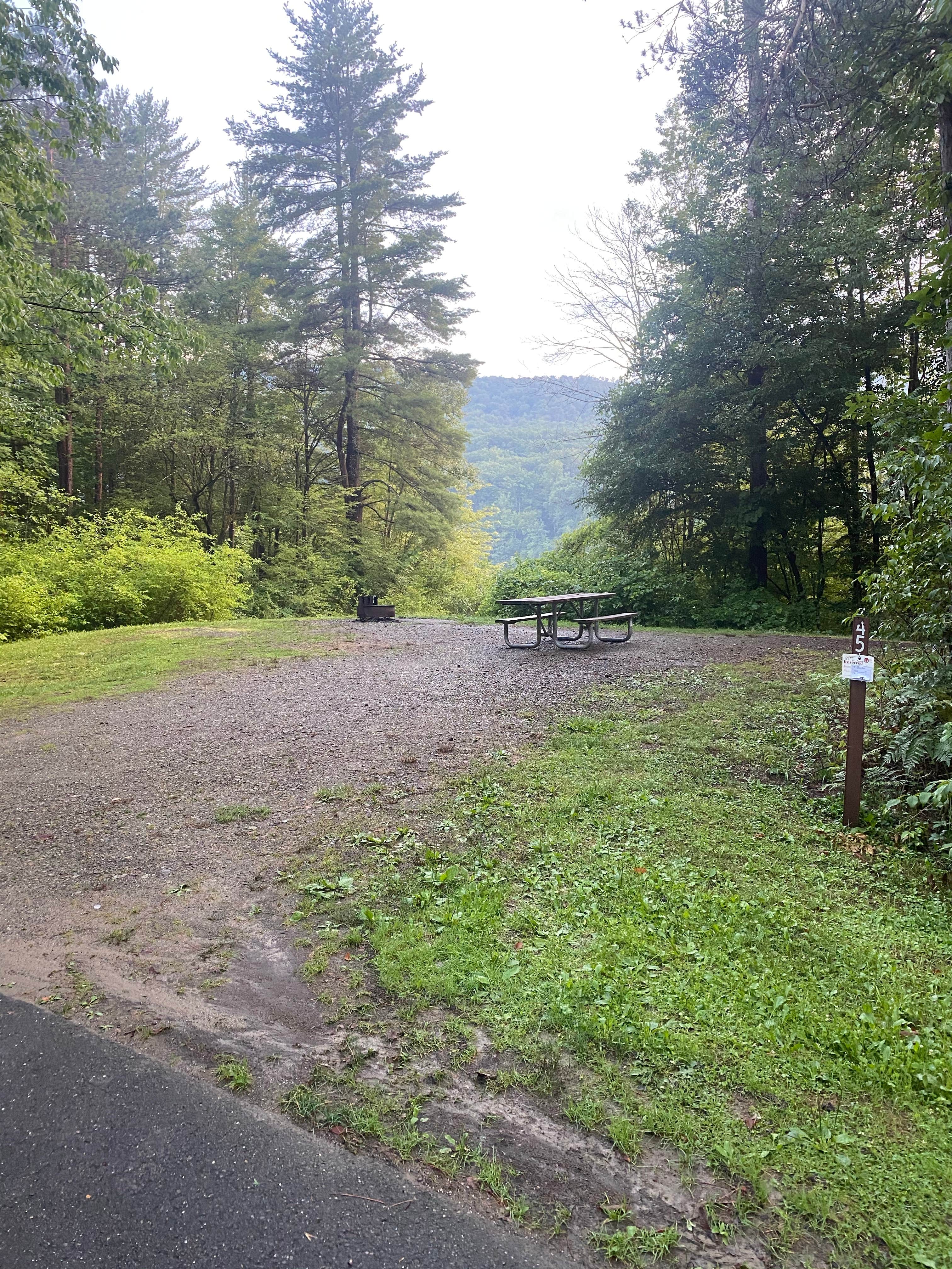 Camper submitted image from Red Bridge Recreation Area - Allegheny National Forest - 4