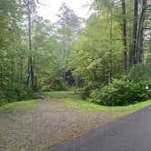 Review photo of Red Bridge Recreation Area - Allegheny National Forest by Sheila P., August 1, 2020