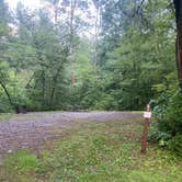 Review photo of Red Bridge Recreation Area - Allegheny National Forest by Sheila P., August 1, 2020