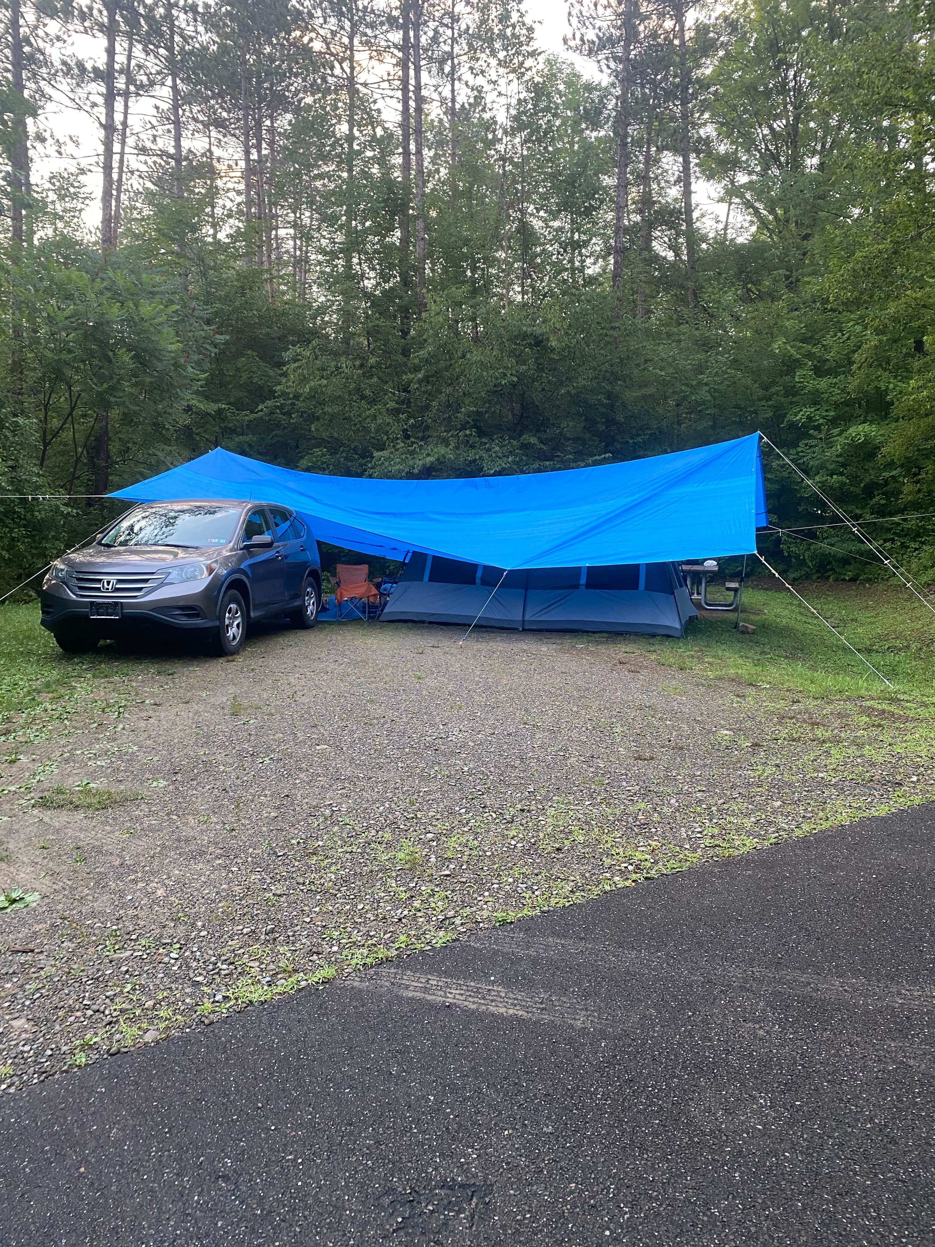 Sheila P.'s photo at Red Bridge Recreation Area - Allegheny National Forest near Steamburg, NY