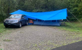 Sheila P.'s photo at Red Bridge Recreation Area - Allegheny National Forest near Allegheny National Forest