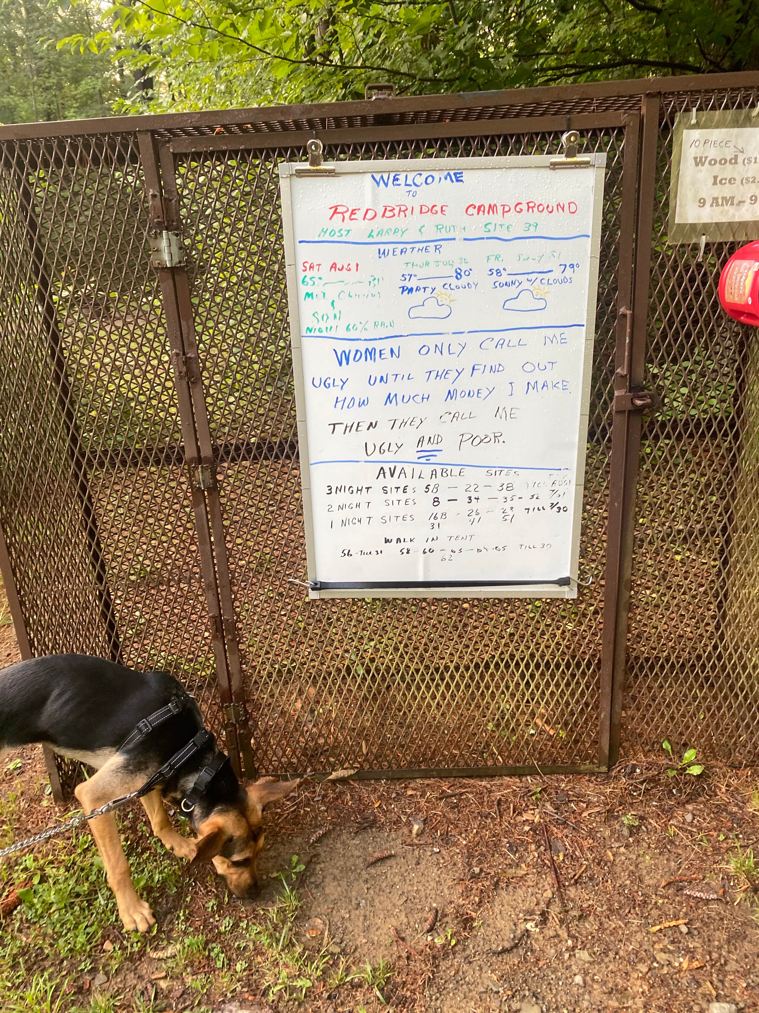 Sheila P.'s photo of camping with pets at Red Bridge Recreation Area - Allegheny National Forest near Austin, PA