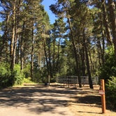 Review photo of Wild Mare Horse Campground by Bjorn S., August 1, 2020