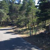 Review photo of Wild Mare Horse Campground by Bjorn S., August 1, 2020