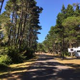 Review photo of Wild Mare Horse Campground by Bjorn S., August 1, 2020