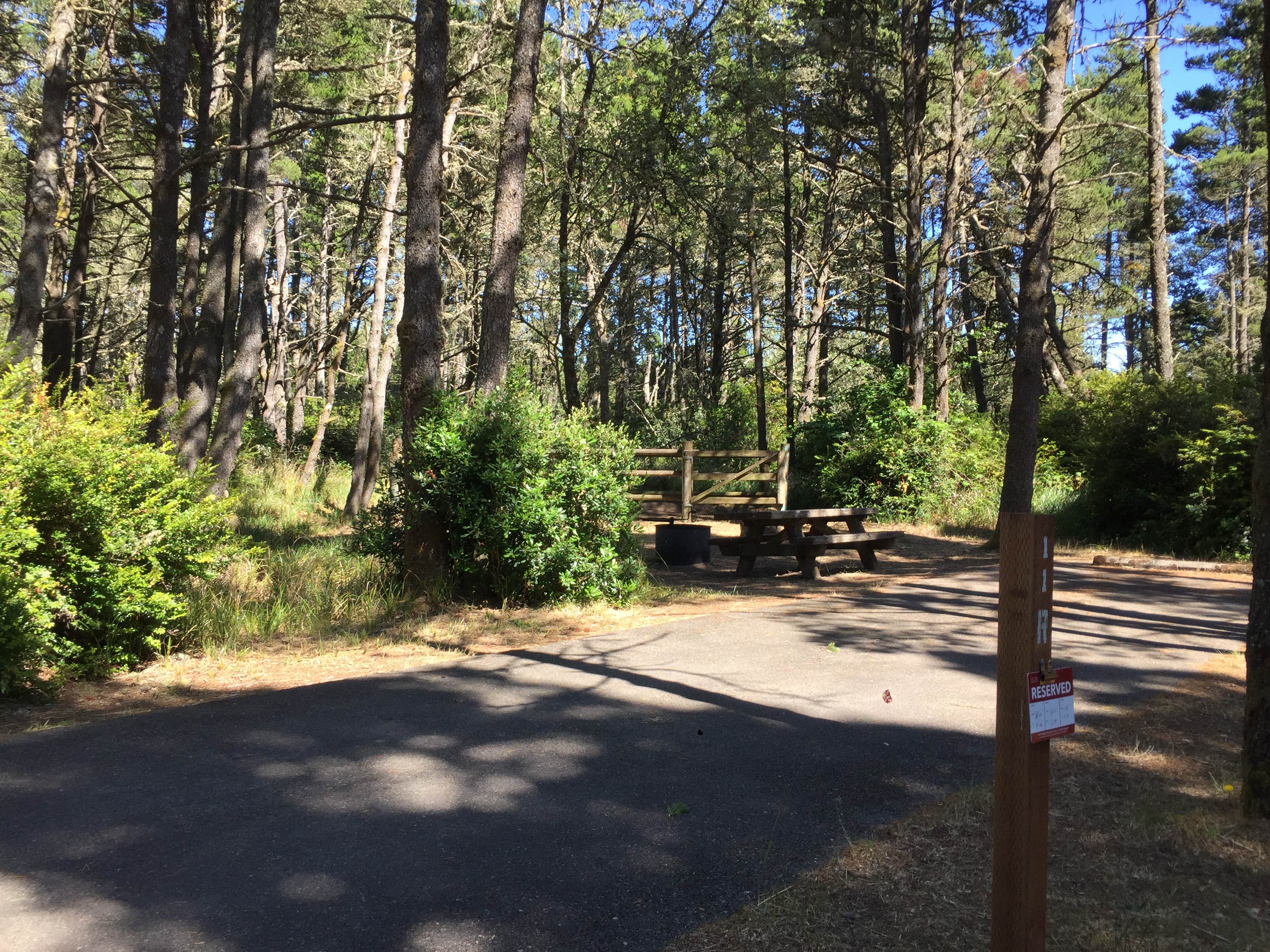 Camper-submitted photo at Wild Mare Horse Campground near Siuslaw National Forest
