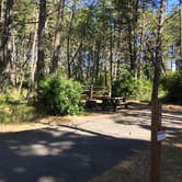 Review photo of Wild Mare Horse Campground by Bjorn S., August 1, 2020