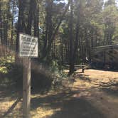 Review photo of Wild Mare Horse Campground by Bjorn S., August 1, 2020