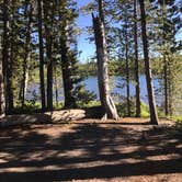 Review photo of 4D2 - Ice Lake East - Yellowstone NP Back Country campsite by Rachel A., August 1, 2020