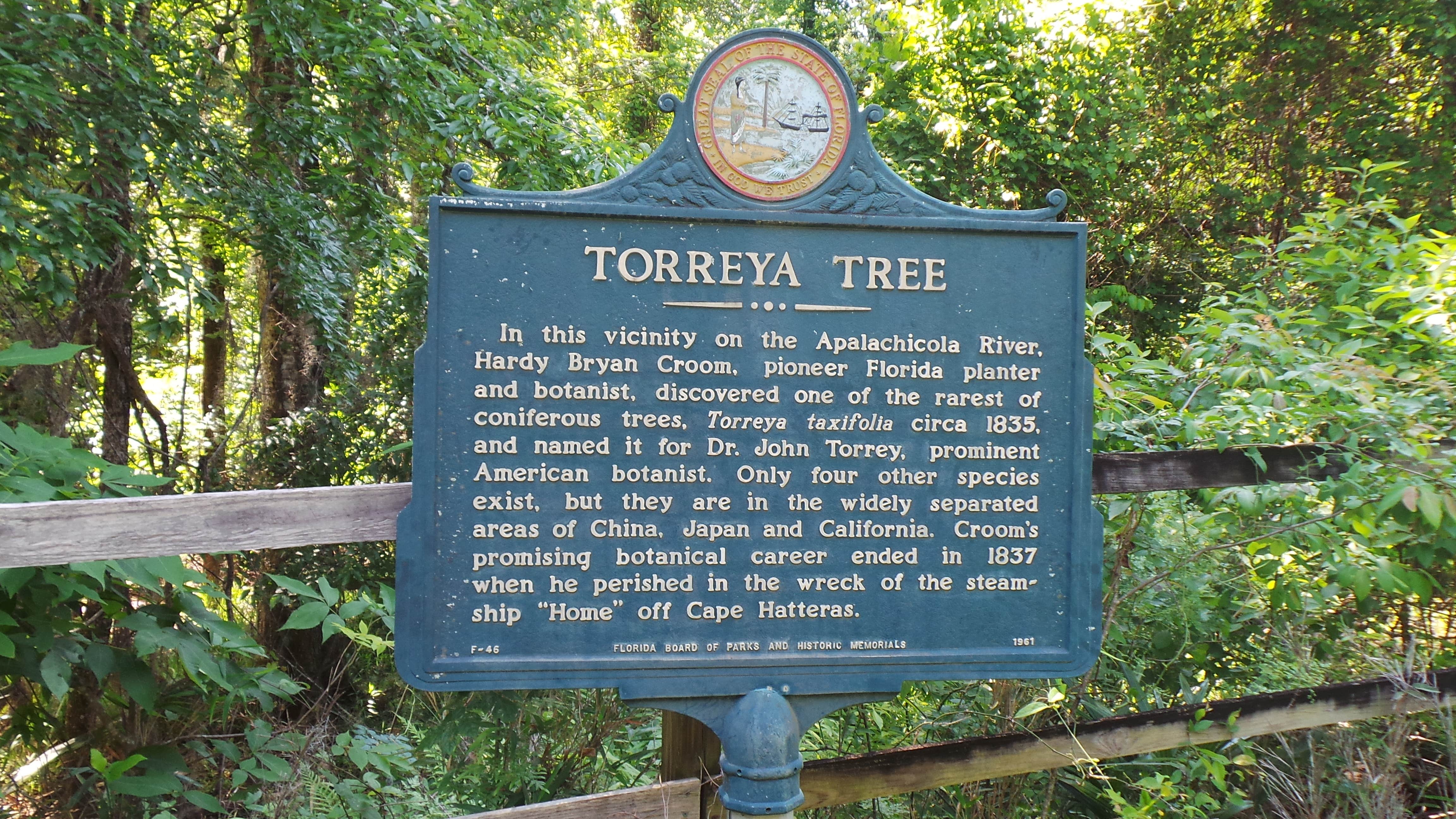 Camper submitted image from Torreya State Park Campground - 4