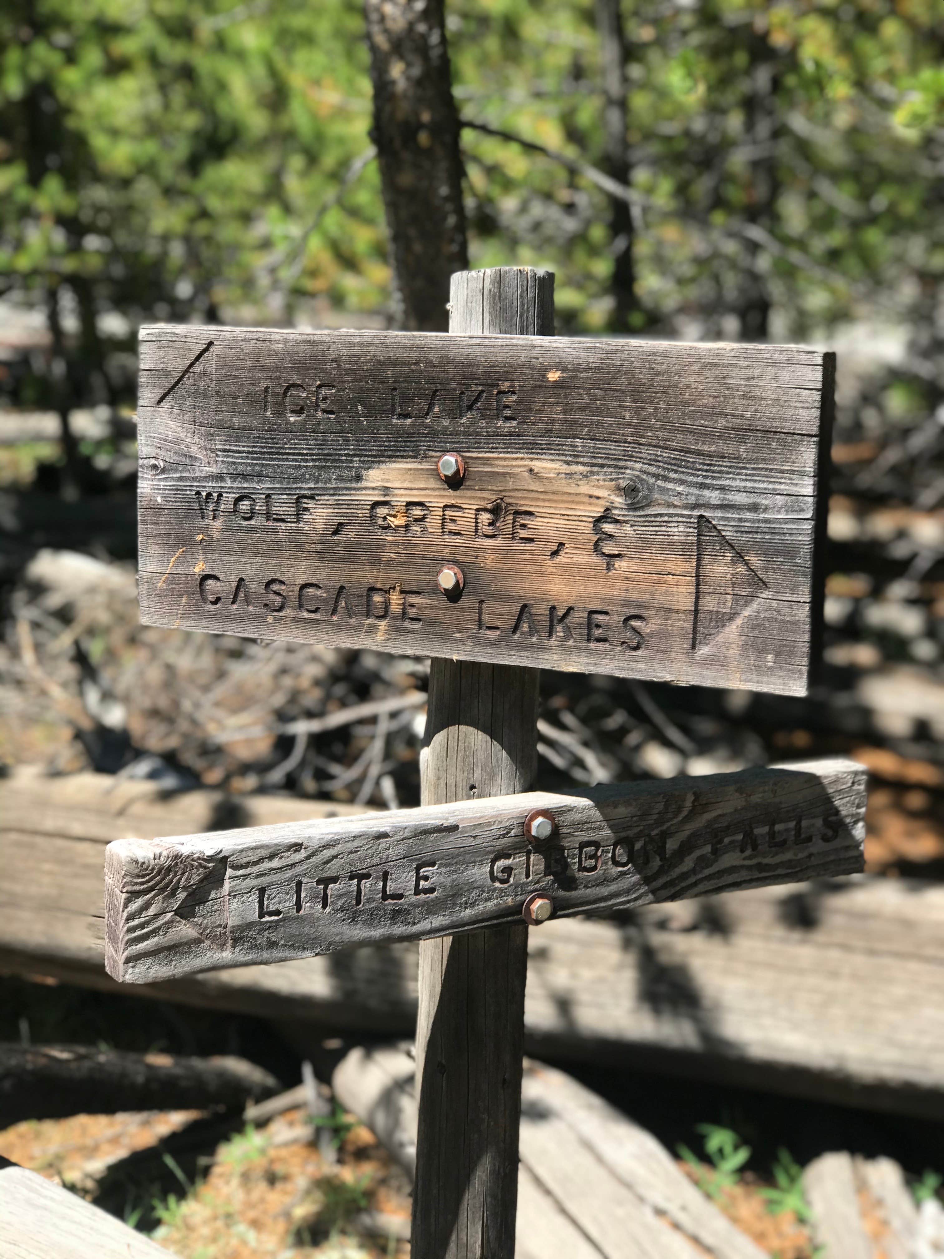 Camper submitted image from 4D2 - Ice Lake East - Yellowstone NP Back Country campsite - 1