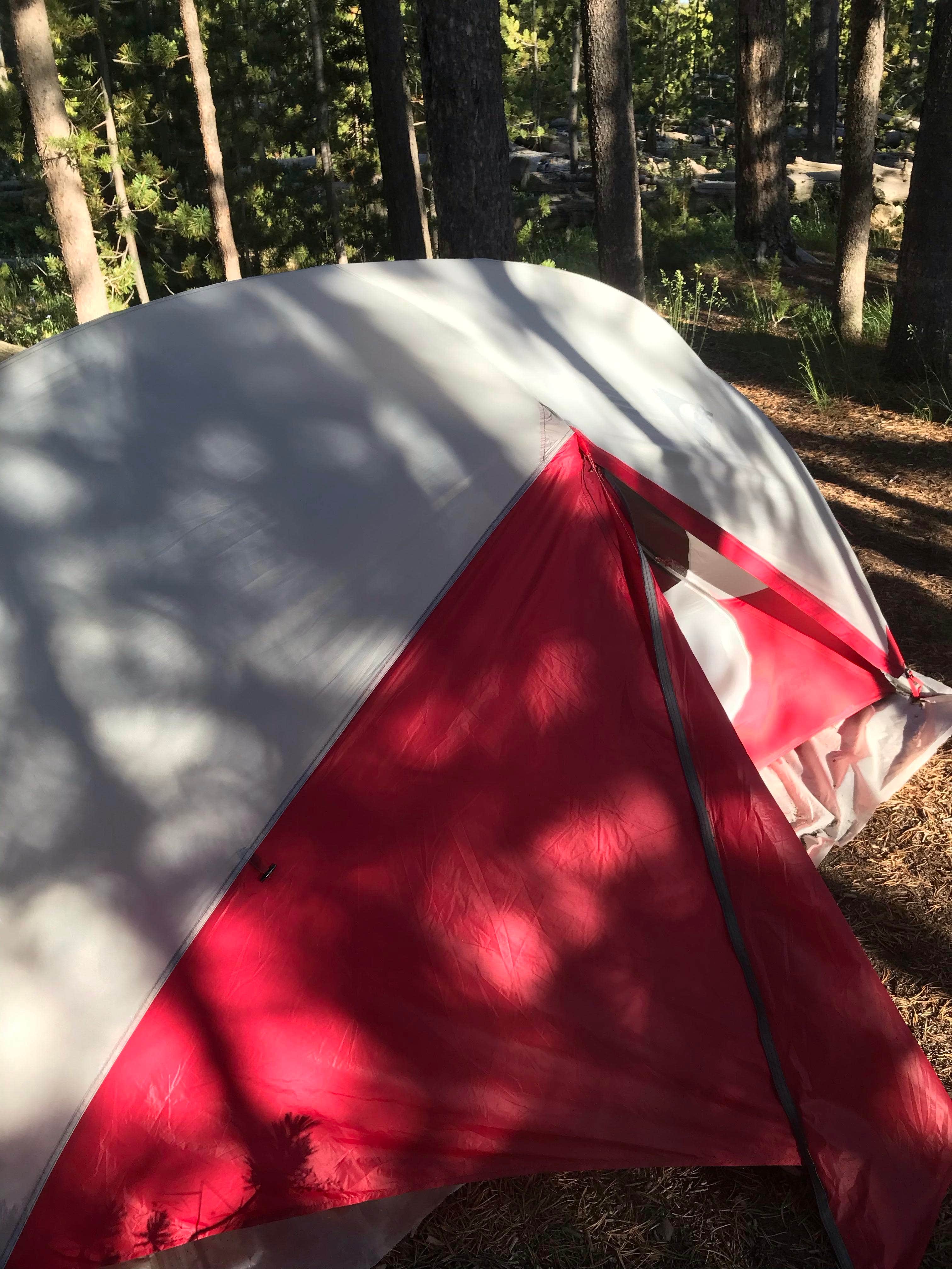 Rachel A.'s photo of tent camping at 4D2 Yellowstone National Park Backcountry — Yellowstone National Park near Island Park, ID