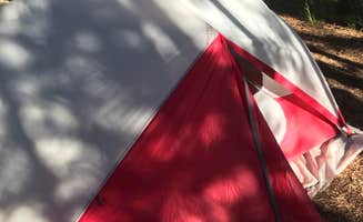 Rachel A.'s photo of tent camping at 4D2 Yellowstone National Park Backcountry — Yellowstone National Park near Island Park, ID