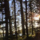 Review photo of 4D2 - Ice Lake East - Yellowstone NP Back Country campsite by Rachel A., August 1, 2020