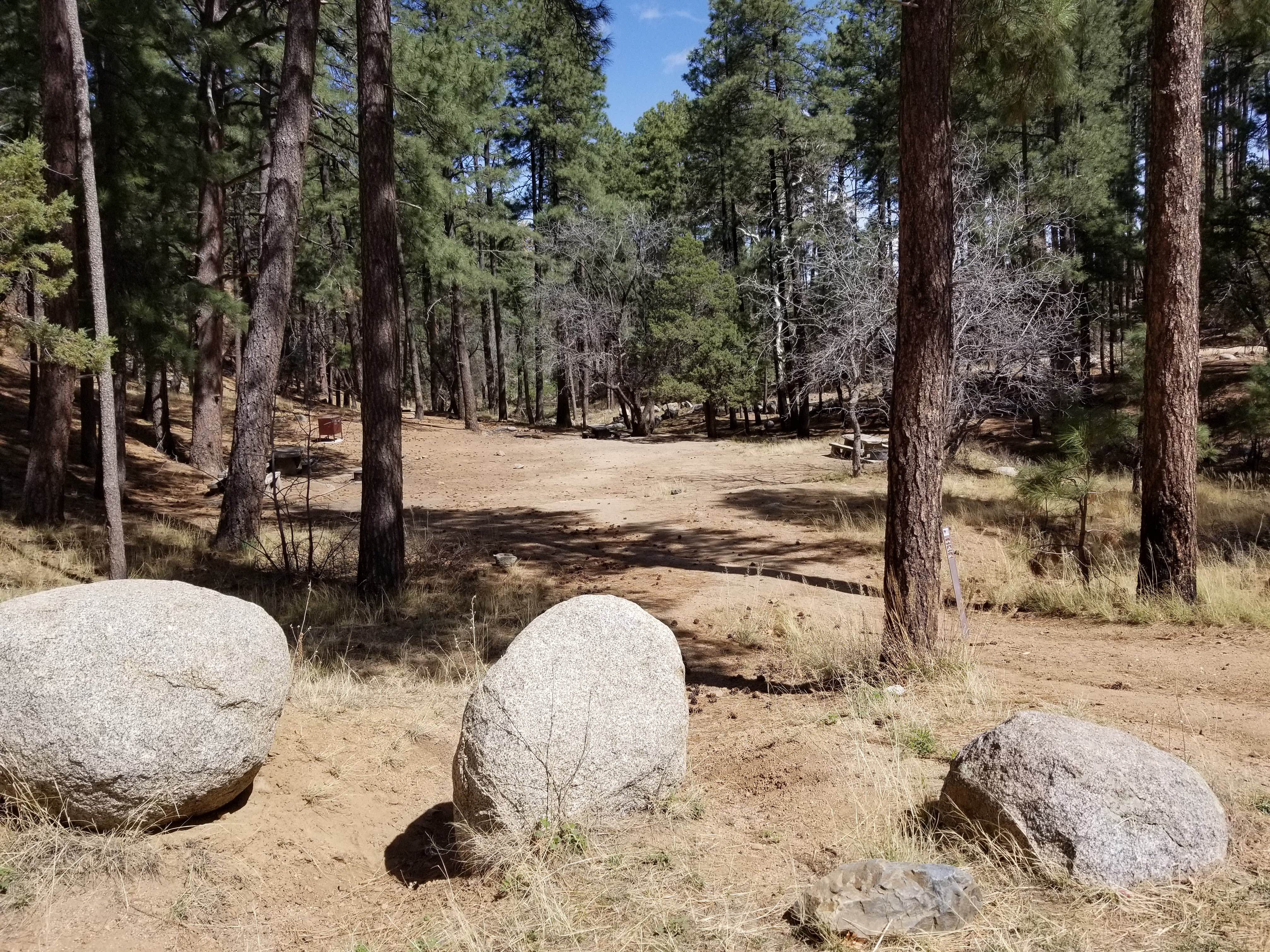 Camper submitted image from Pioneer Pass Campground - 2